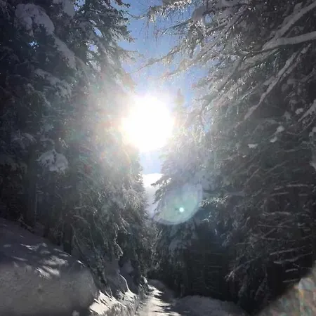 Daire Anna Seeblick Appartement, Haus Haensel&gretel Am Ossiachersee, Hallenbad, Skiarena Gerlitzen *