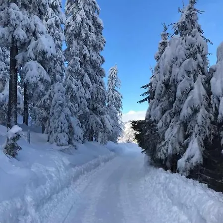 Anna Seeblick Appartement, Haus Haensel&gretel Am Ossiachersee, Hallenbad, Skiarena Gerlitzen