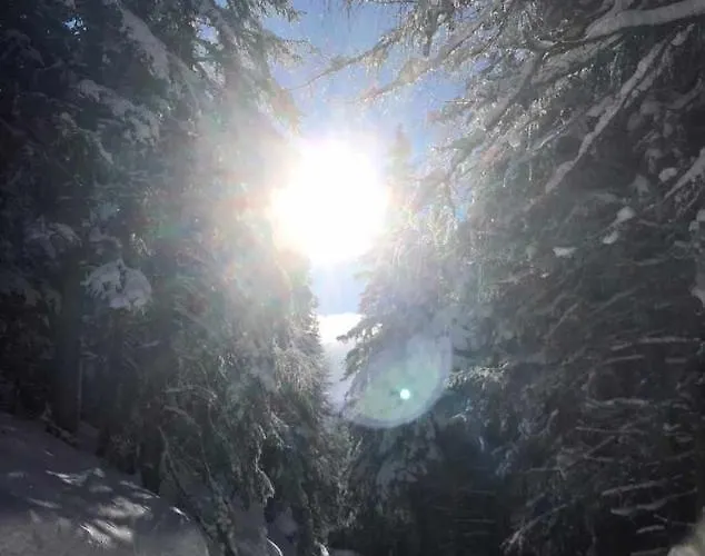 Apartment Anna Seeblick Appartement, Haus Haensel&Gretel Am Ossiachersee, Hallenbad, Skiarena Gerlitzen *